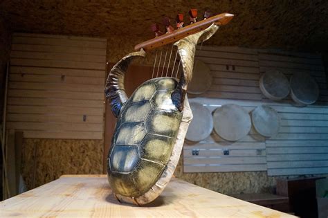 tortoise shell lyre